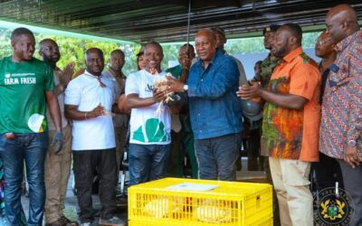 President Mahama Launches ‘Nkokɔ Nketenkete’ Initiative to Revive Ghana’s Poultry Industry